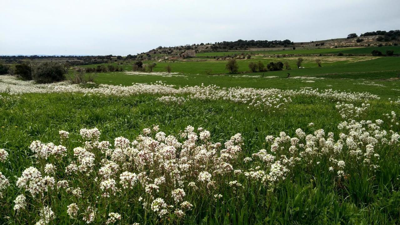 Ca La Bet Ξενοδοχείο Claravalls Εξωτερικό φωτογραφία